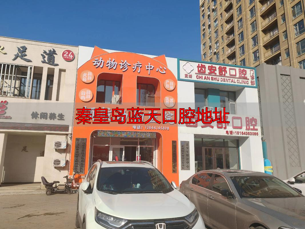 秦皇岛蓝天口腔地址_秦皇岛蓝天口腔怎么样_秦皇岛蓝天口腔医院电话号码