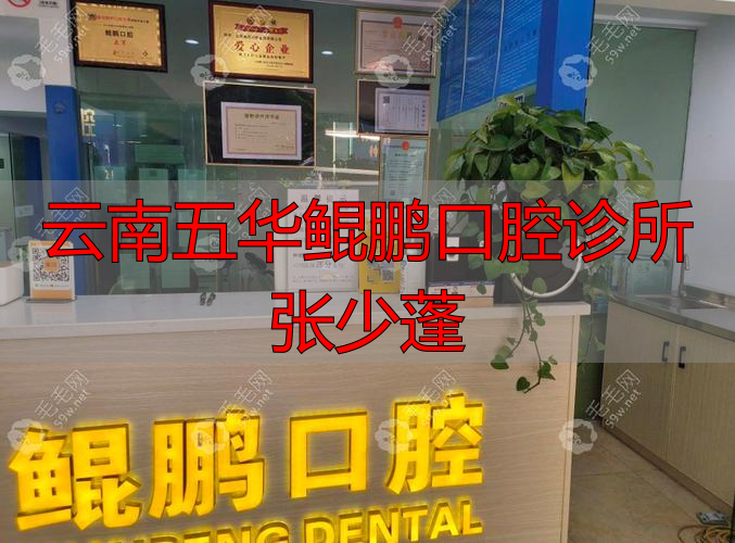 云南五华鲲鹏口腔诊所张少蓬_云南五华鲲鹏口腔诊所张少蓬_云南五华鲲鹏口腔诊所张少蓬